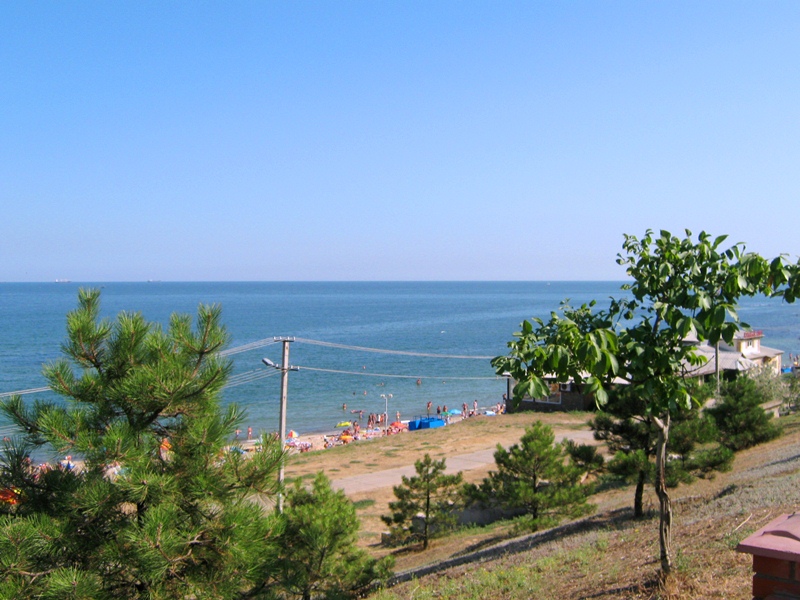 Черноморское побережье, image of landscape/habitat.