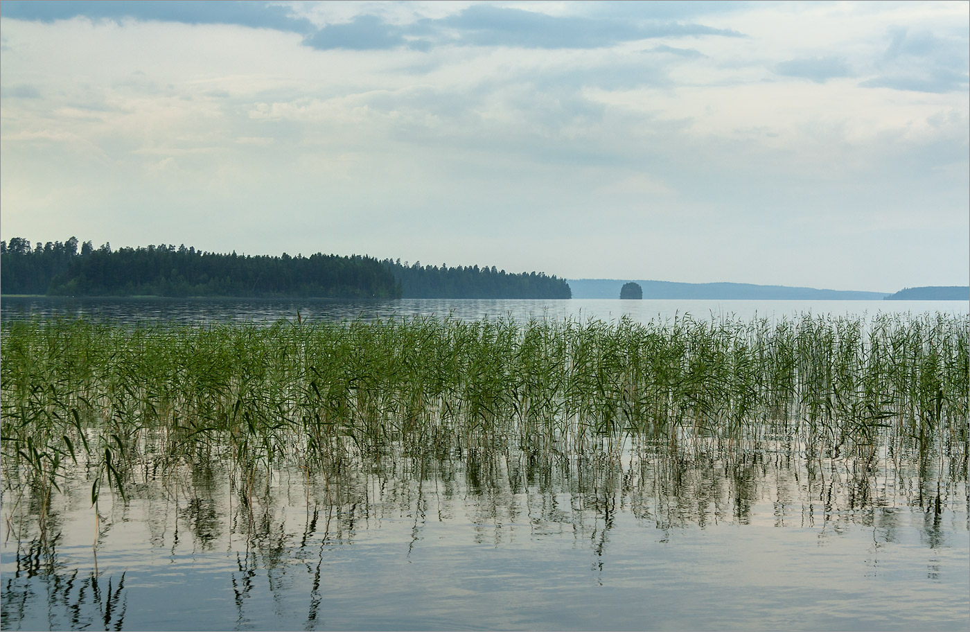 Елмозеро, image of landscape/habitat.