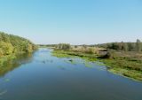 Павловский Посад и окрестности, image of landscape/habitat.