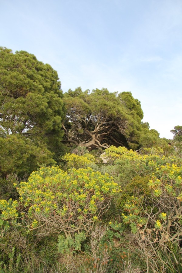 Гаэта, image of landscape/habitat.