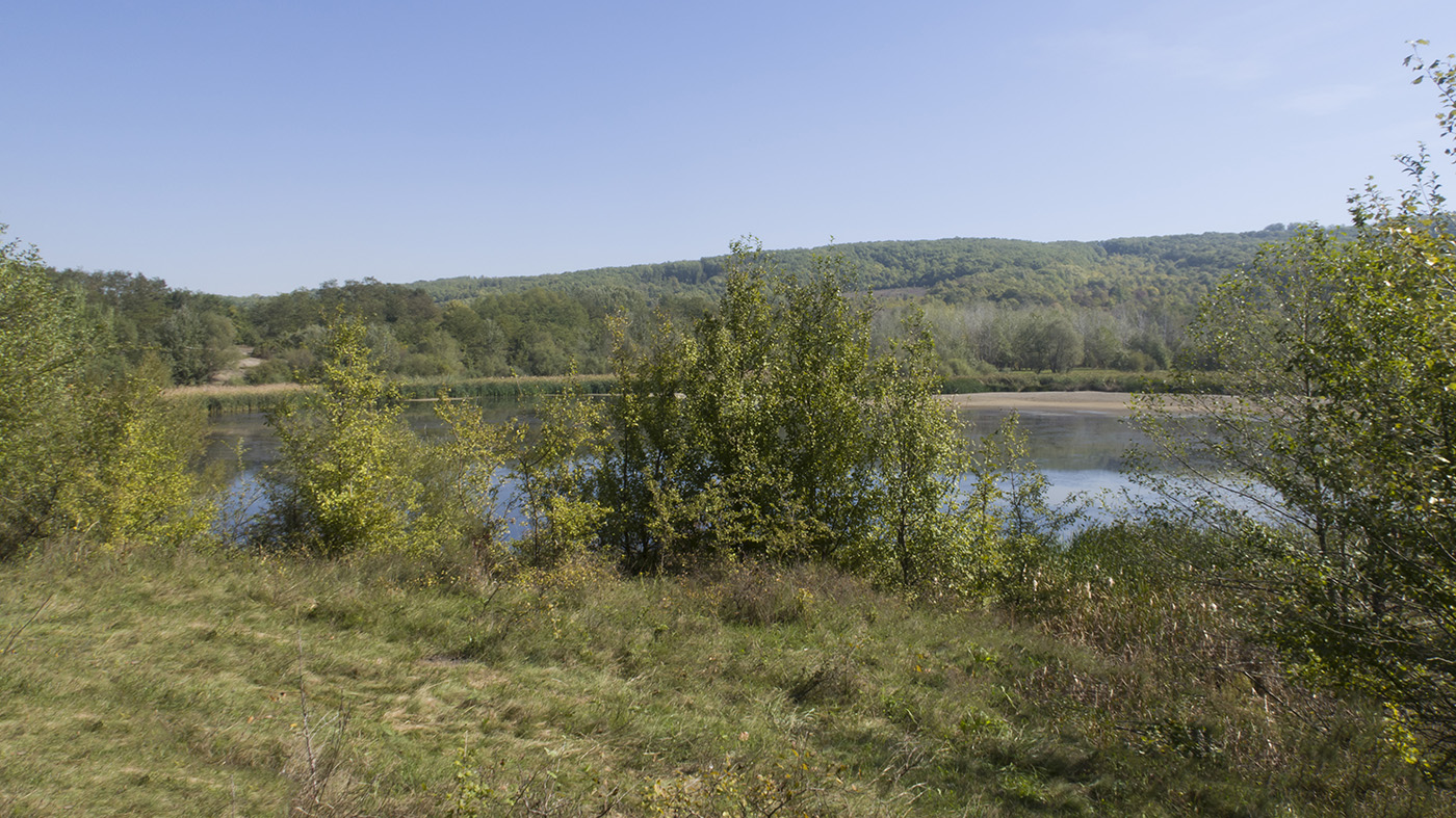 Шибик, image of landscape/habitat.