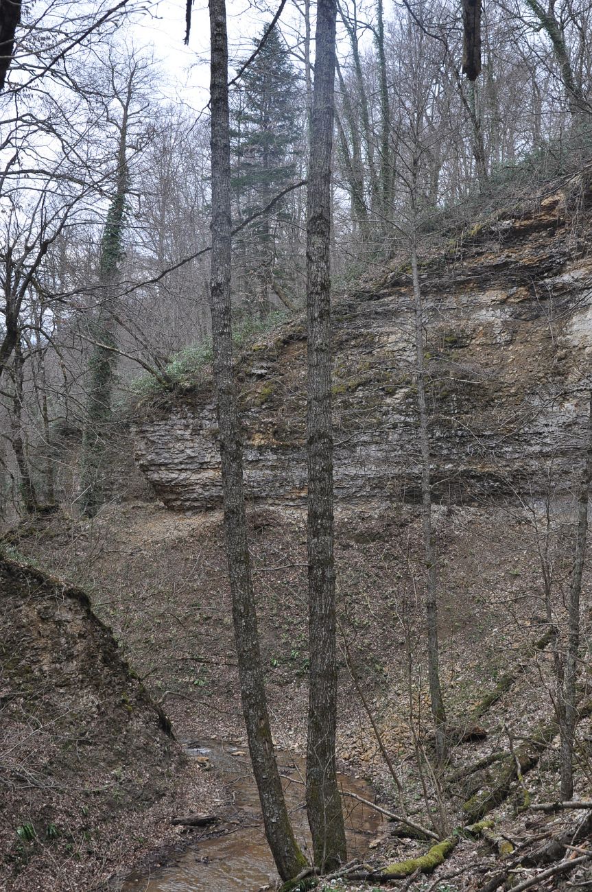 Долина реки Аминовка, image of landscape/habitat.