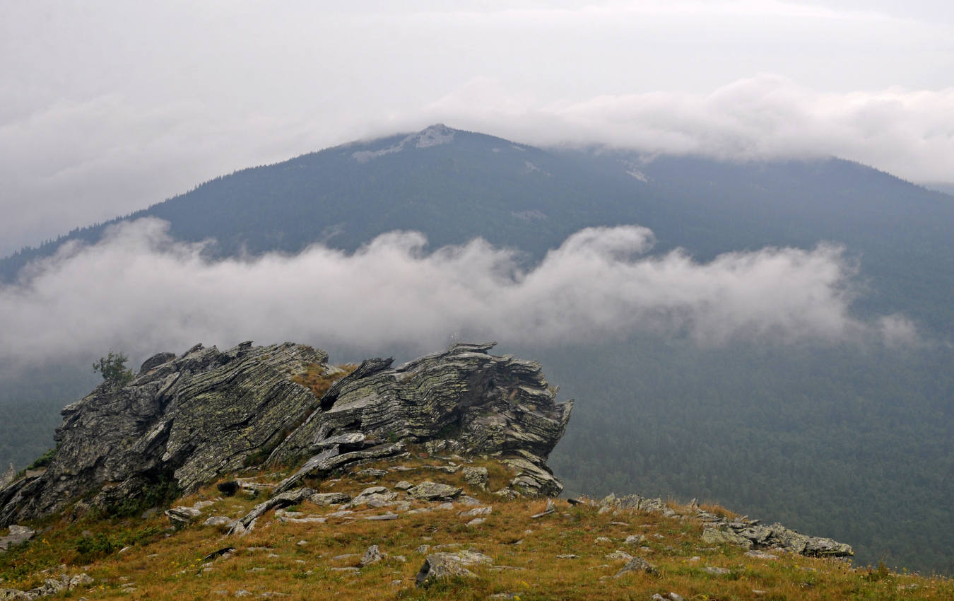 Хребет Уреньга, image of landscape/habitat.