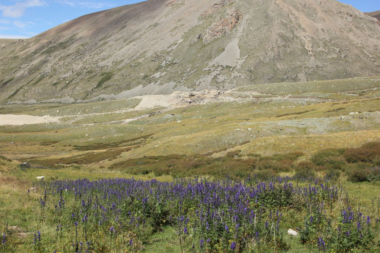 Джумалинские ключи, image of landscape/habitat.