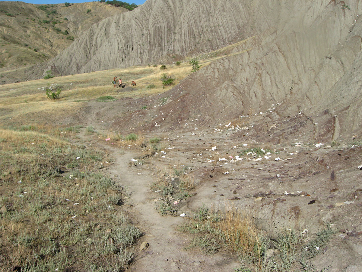 Лисья бухта, image of landscape/habitat.