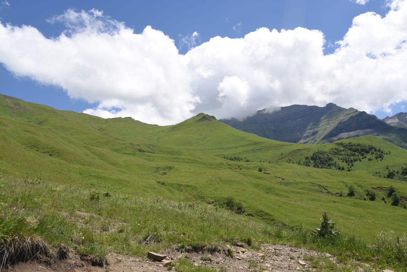 Верхнее течение Чадыри, image of landscape/habitat.