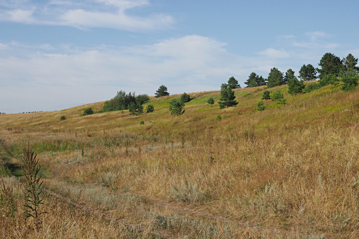 Долины рек Авраль, image of landscape/habitat.