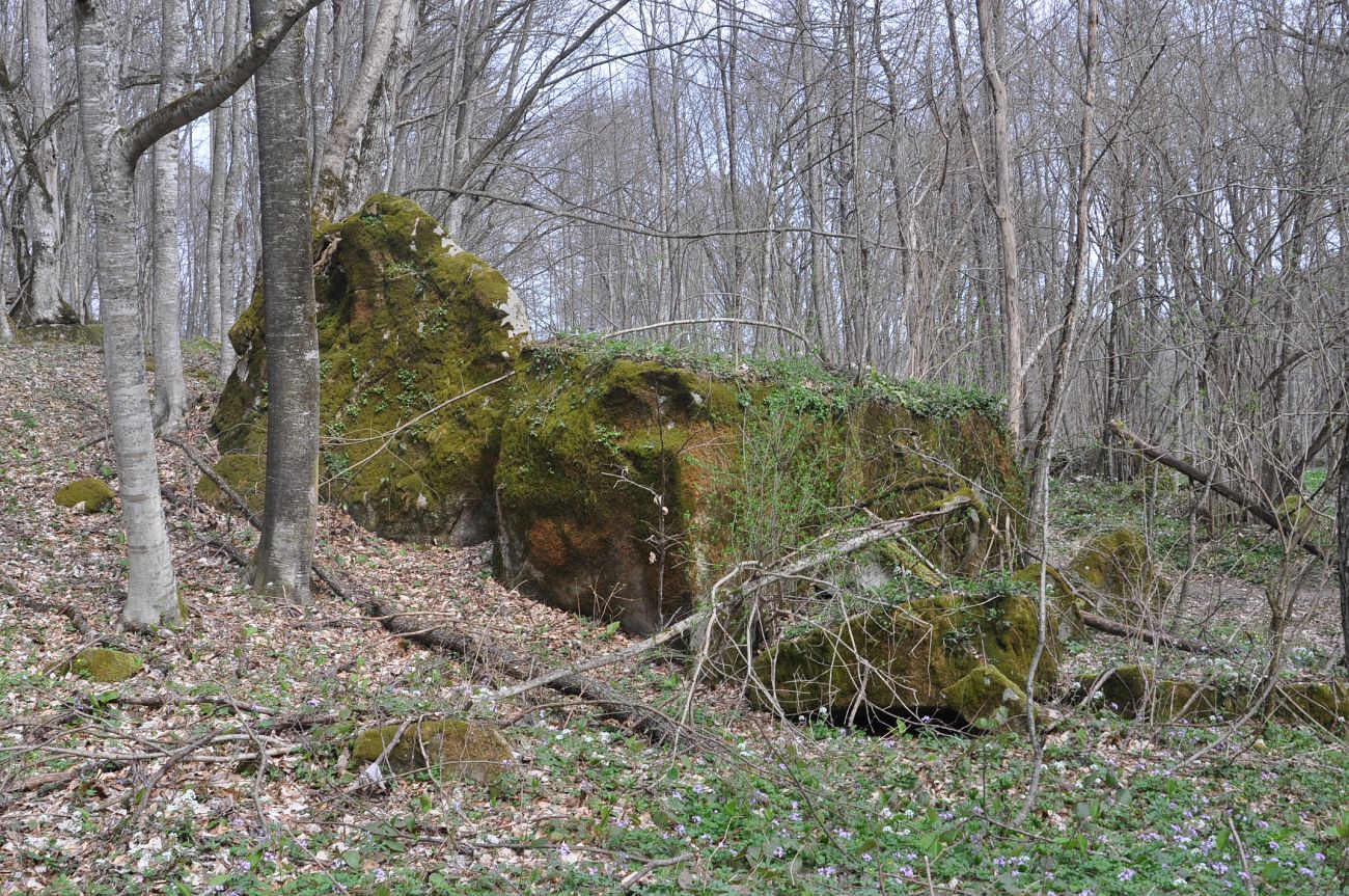 Долина ручья Сюк, image of landscape/habitat.