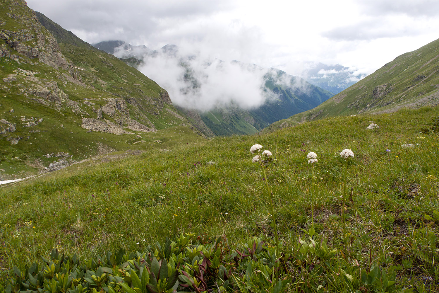 Верховья Имеретинки, image of landscape/habitat.