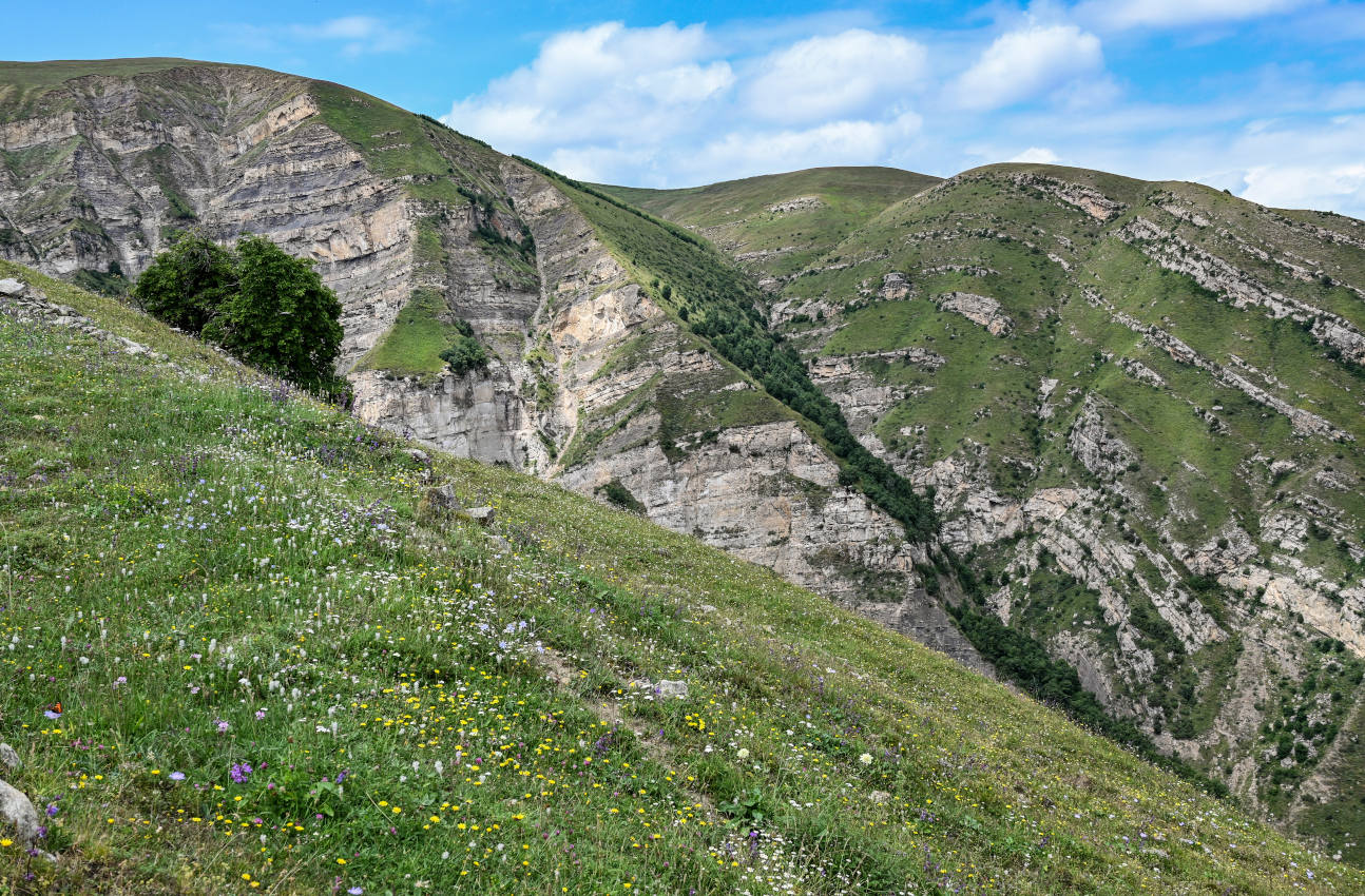 Покинутое село Гамсутль, изображение ландшафта.