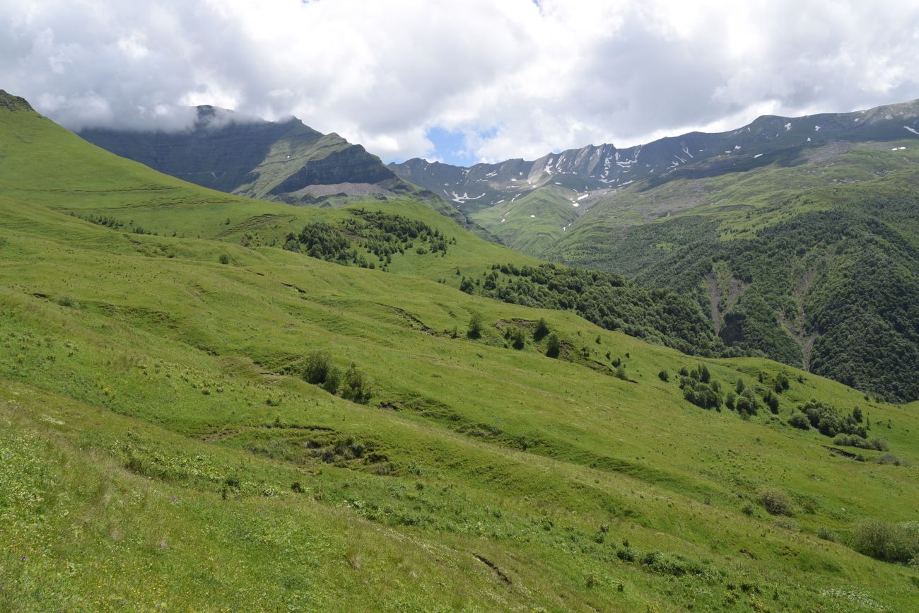 Верхнее течение Чадыри, image of landscape/habitat.