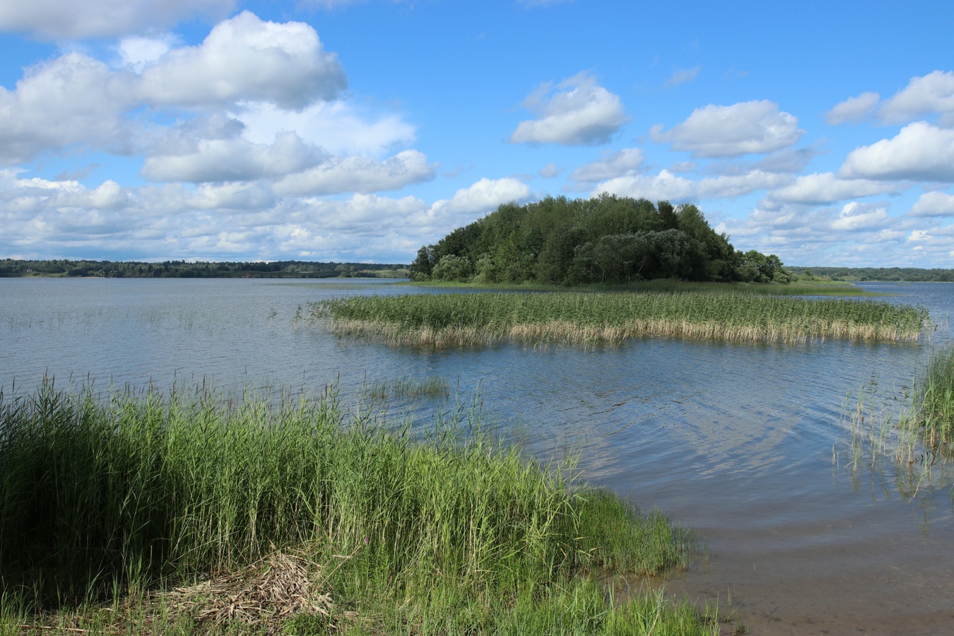 Езерище и окрестности, image of landscape/habitat.