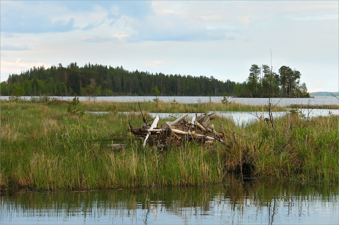 Елмозеро, image of landscape/habitat.