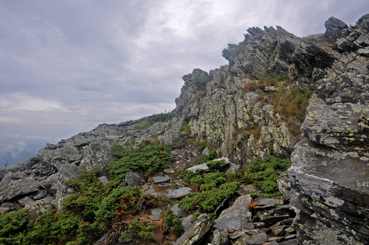 Хребет Уреньга, image of landscape/habitat.