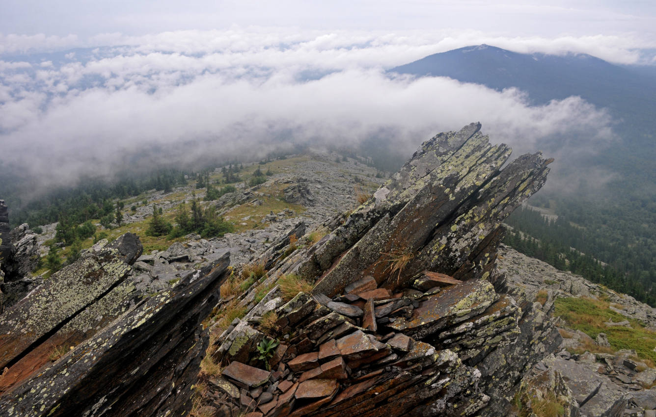 Хребет Уреньга, image of landscape/habitat.