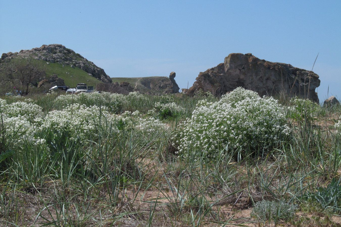 Генеральские пляжи, image of landscape/habitat.