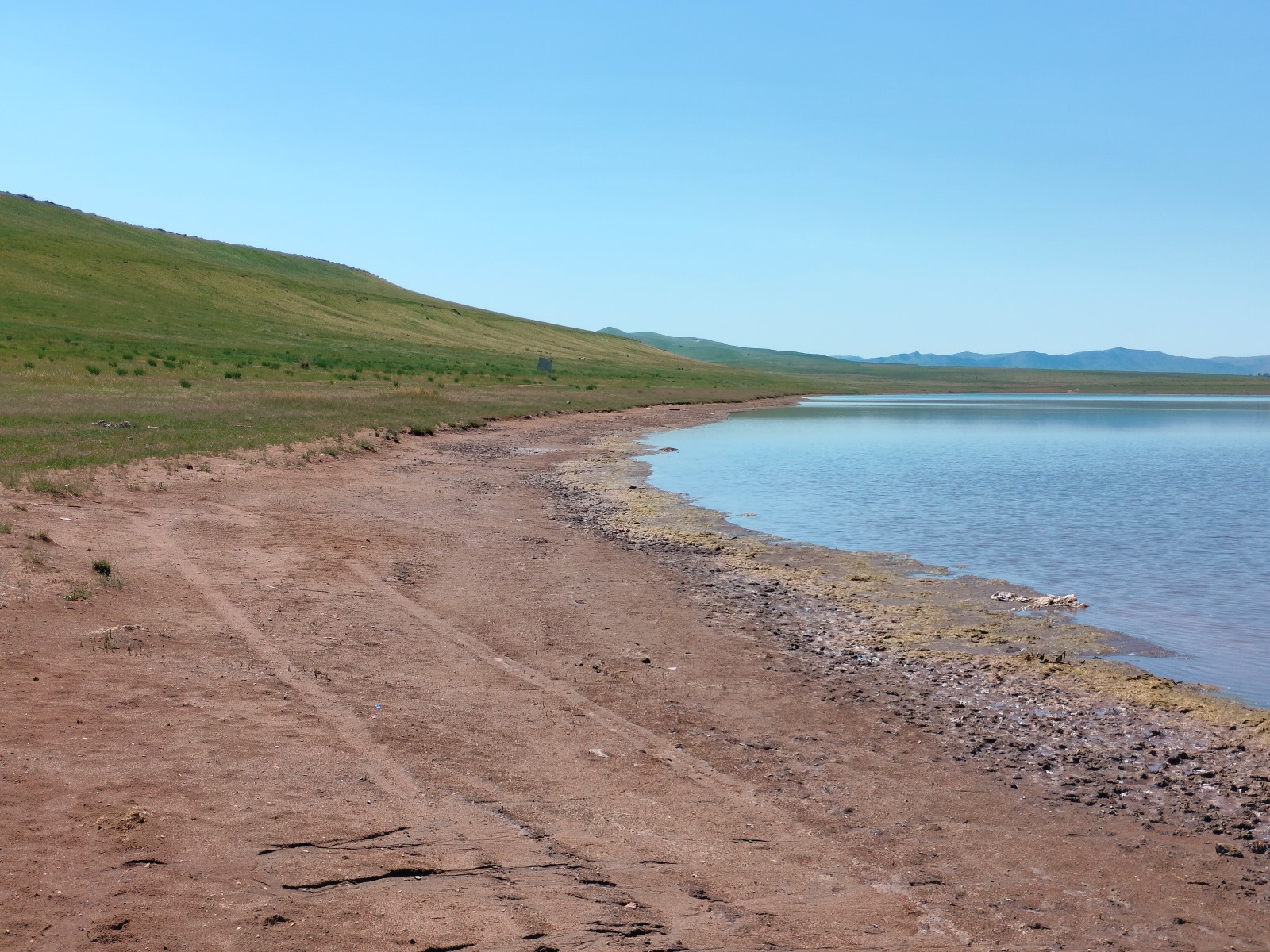 Солёное, image of landscape/habitat.