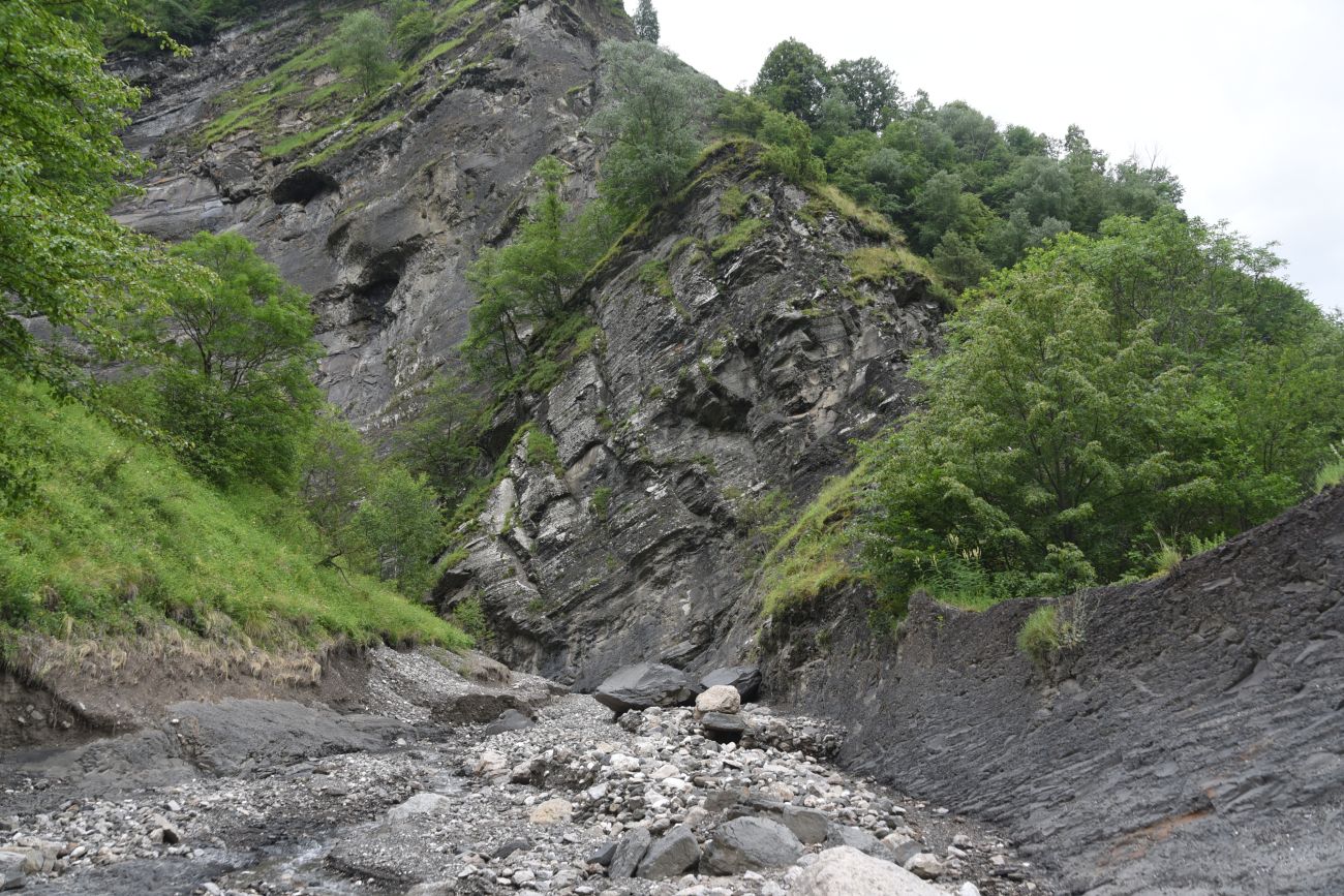 Левый приток реки Цесиахк, image of landscape/habitat.