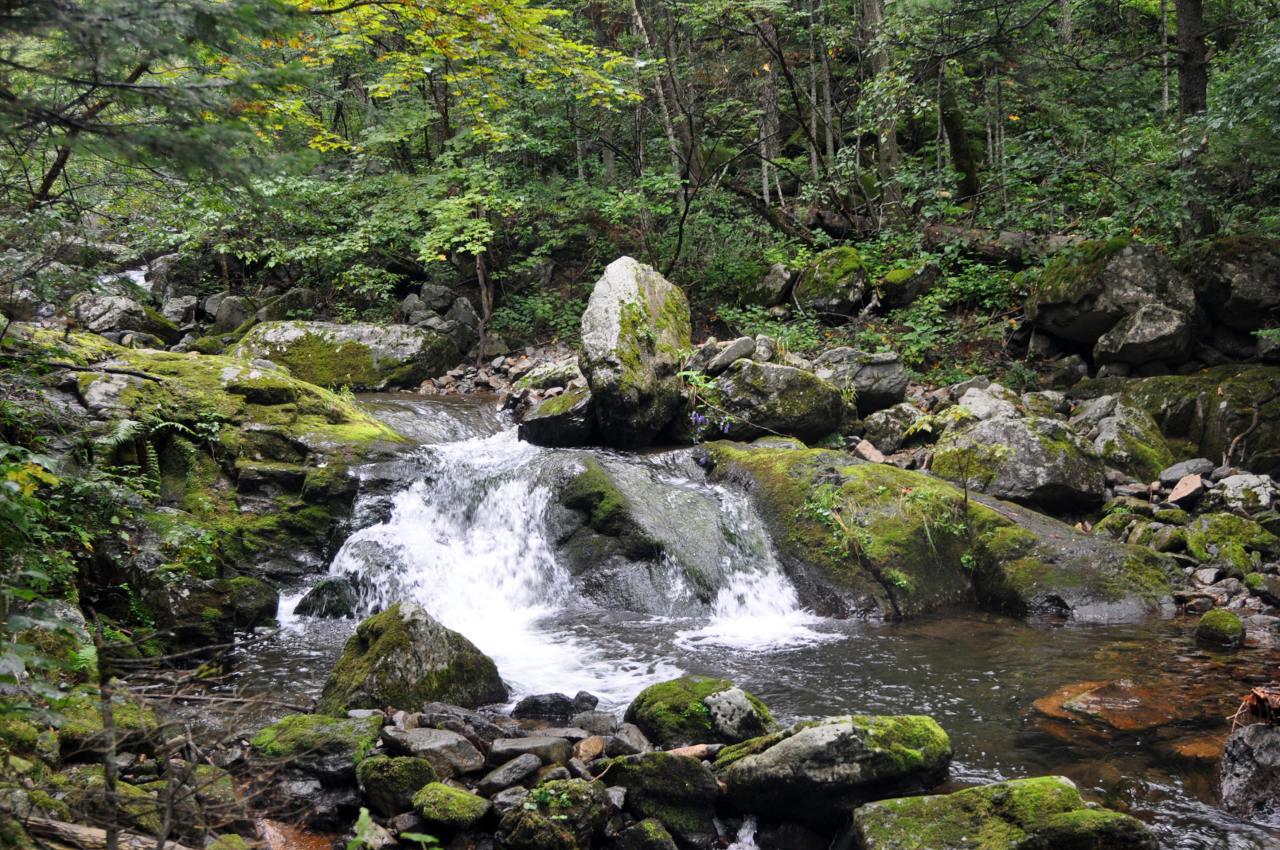 Долина реки Еломовский ключ, image of landscape/habitat.