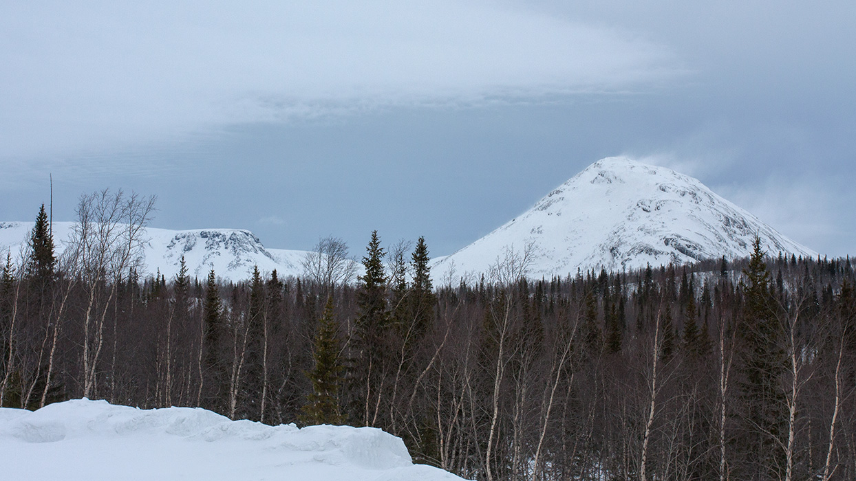 ПАБСИ и окрестности, image of landscape/habitat.