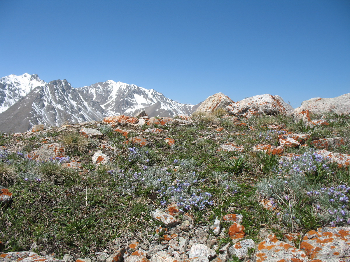 Космостанция, image of landscape/habitat.