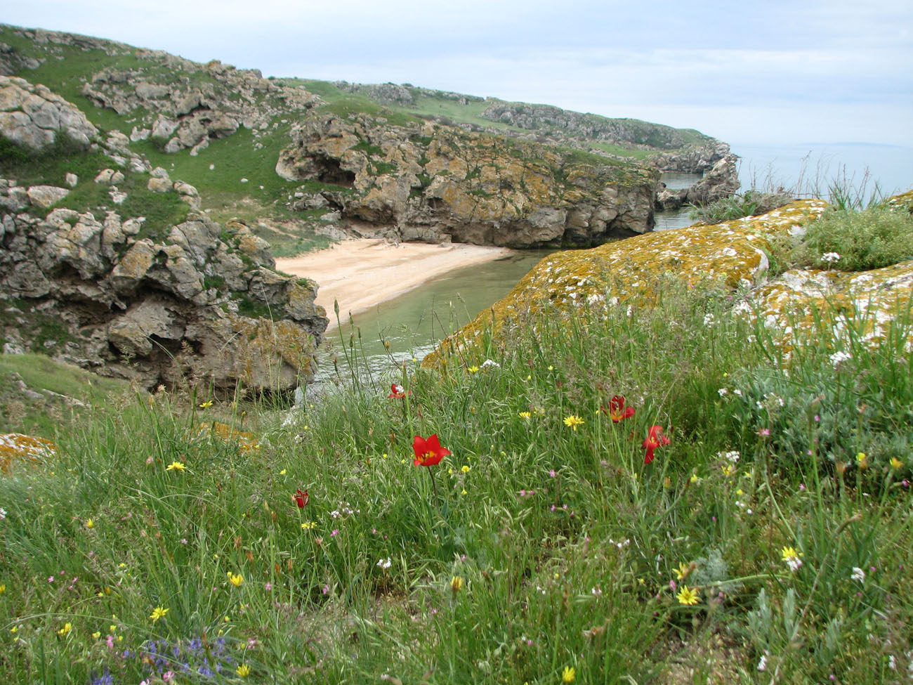 Караларская степь, image of landscape/habitat.