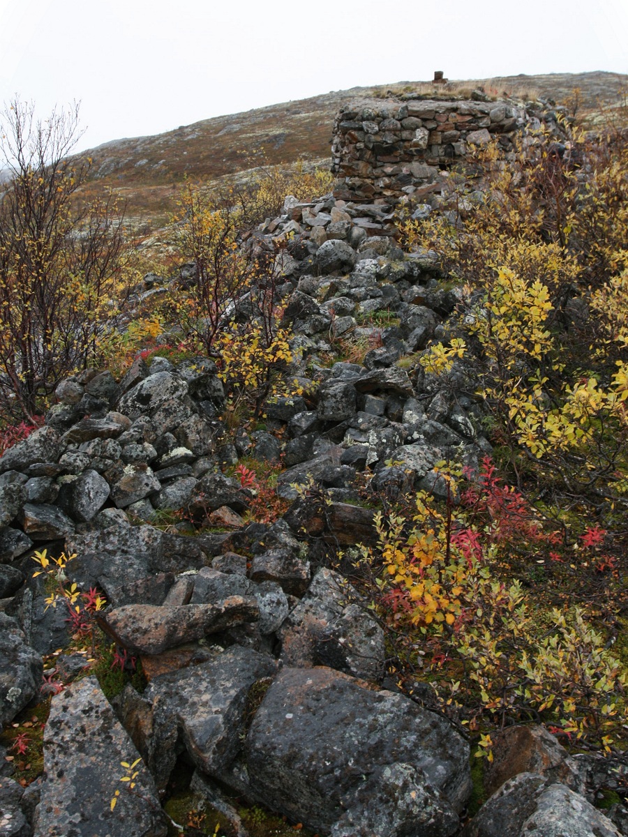 Высота 314.9, image of landscape/habitat.