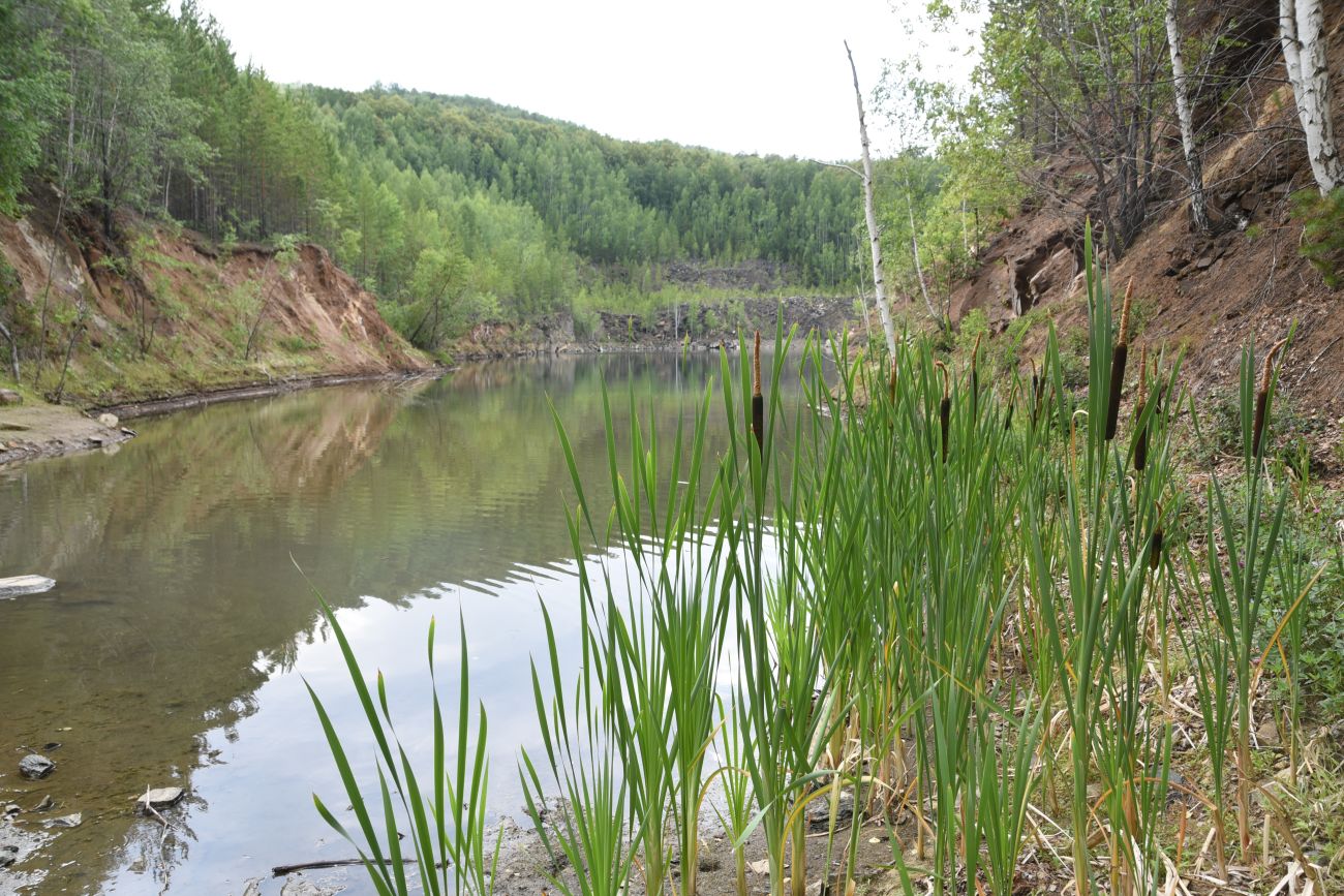 Карьер Дайверов, image of landscape/habitat.