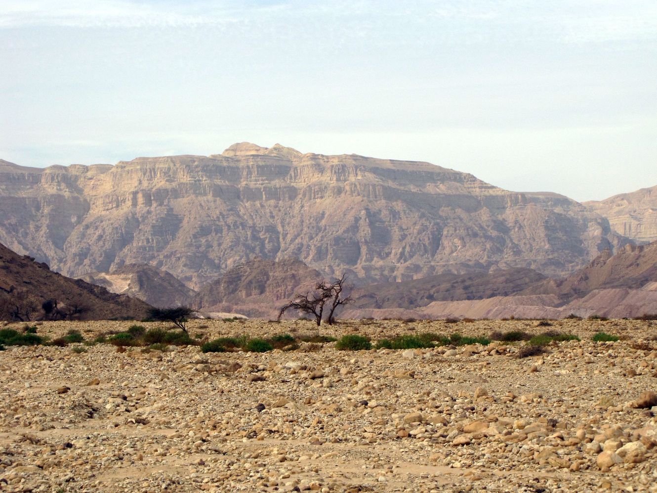 Эйлатские горы, image of landscape/habitat.