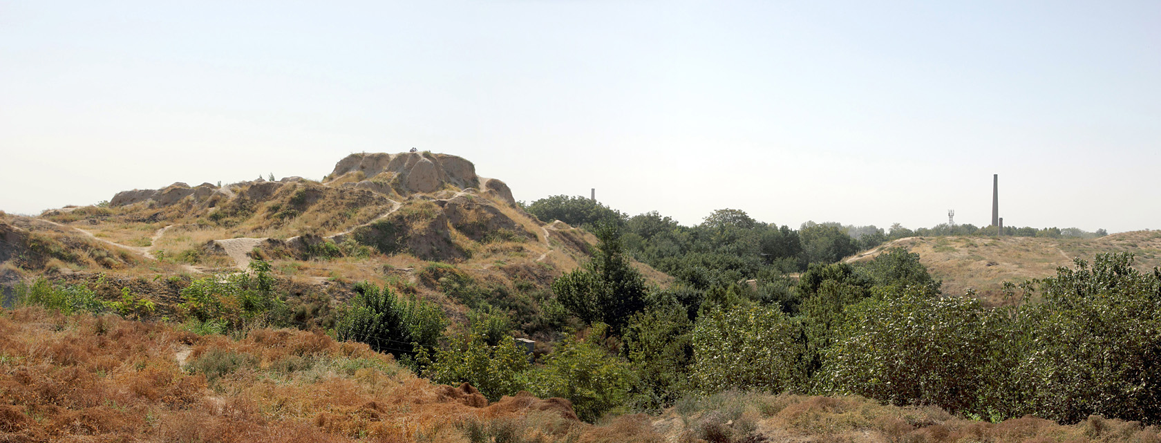 Актепа Юнусабадская, изображение ландшафта.