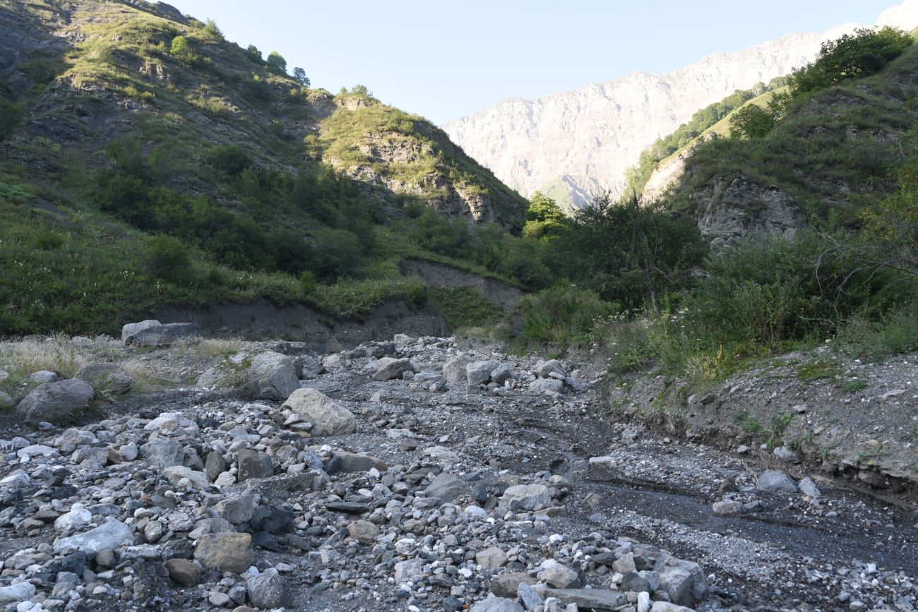 Левый приток реки Цесиахк, image of landscape/habitat.