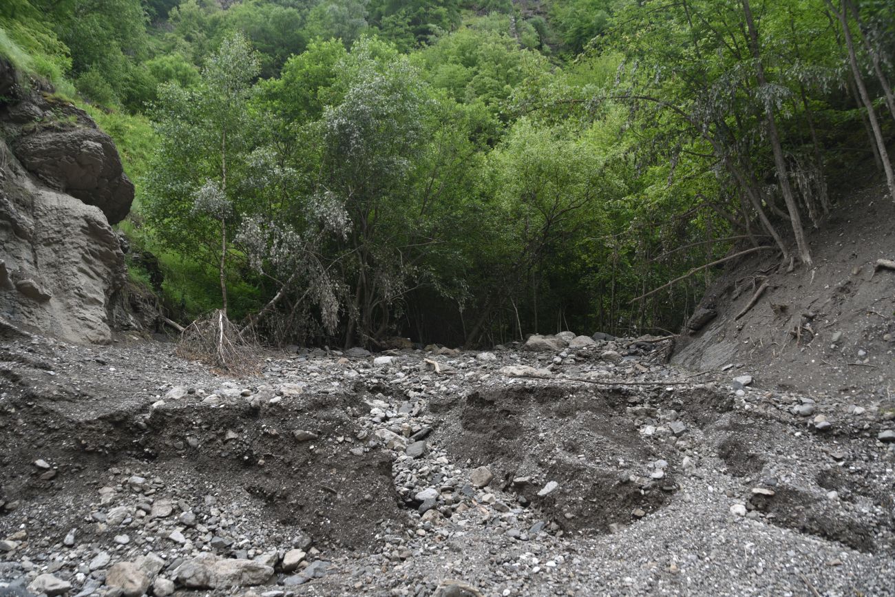 Левый приток реки Цесиахк, image of landscape/habitat.