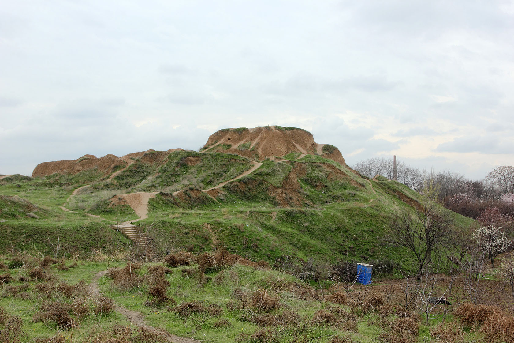 Актепа Юнусабадская, image of landscape/habitat.