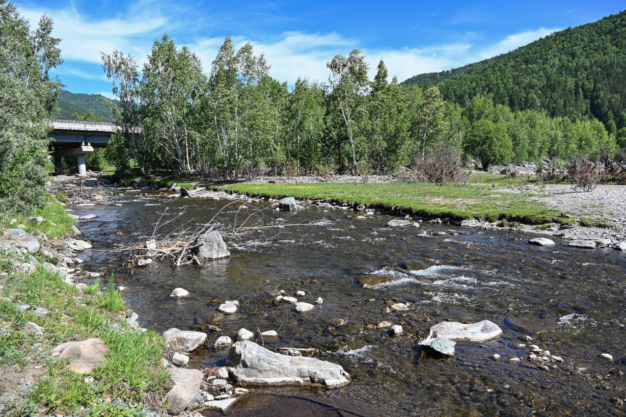 Устье реки Голубая, image of landscape/habitat.