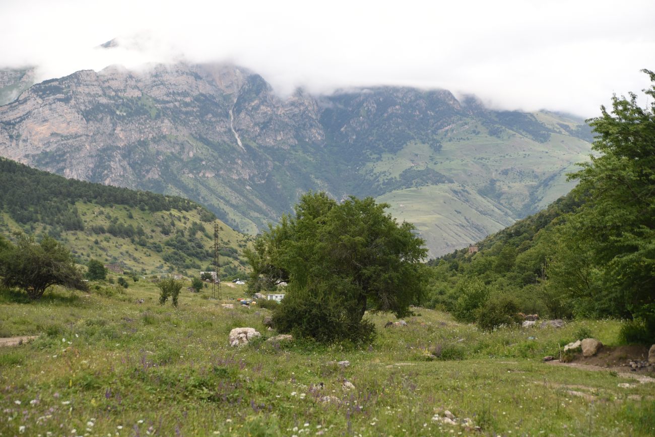 Нижний Кяхк и окрестности, image of landscape/habitat.