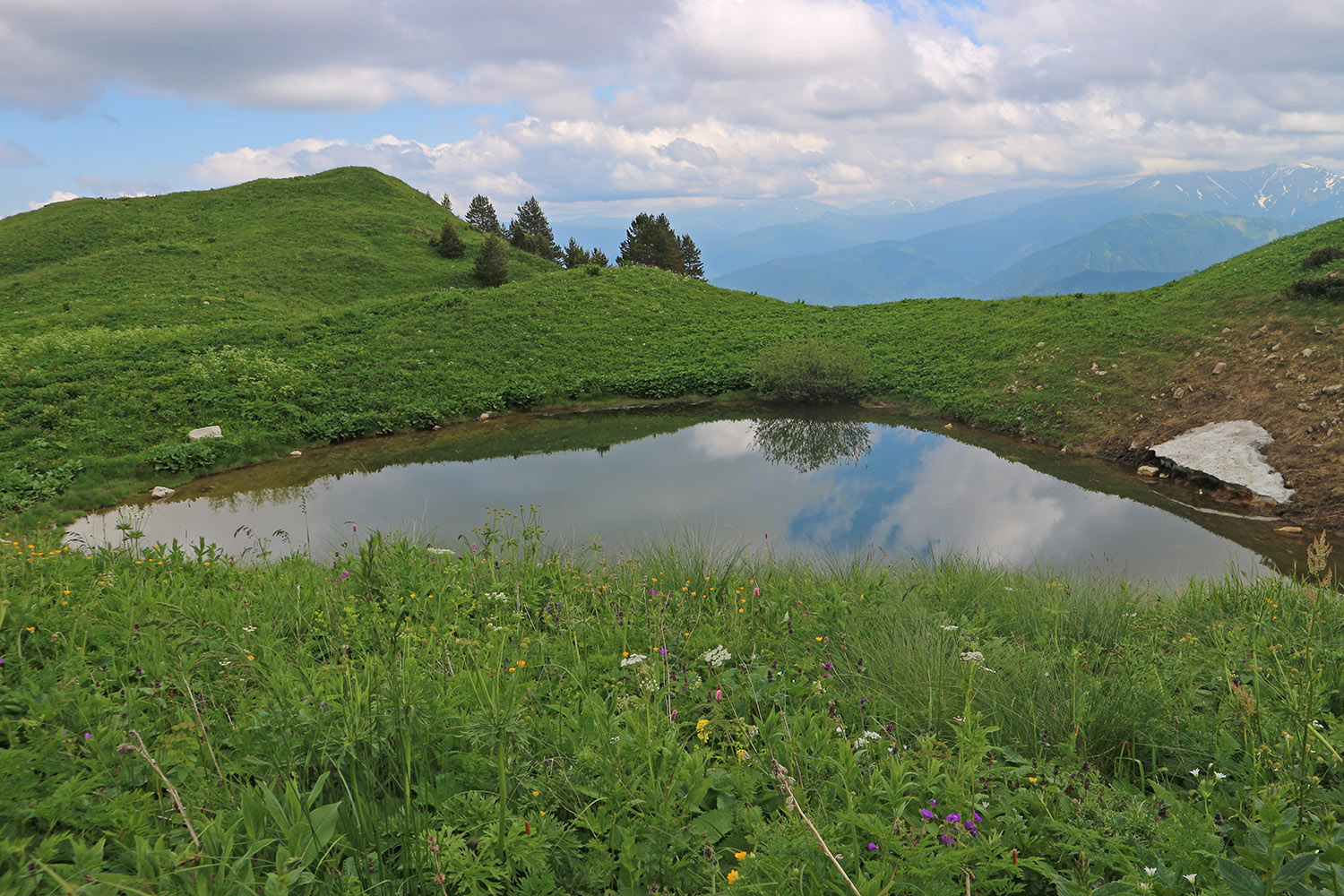 Озеро Змеиное, image of landscape/habitat.