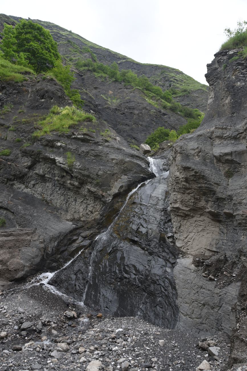 Левый приток реки Цесиахк, image of landscape/habitat.