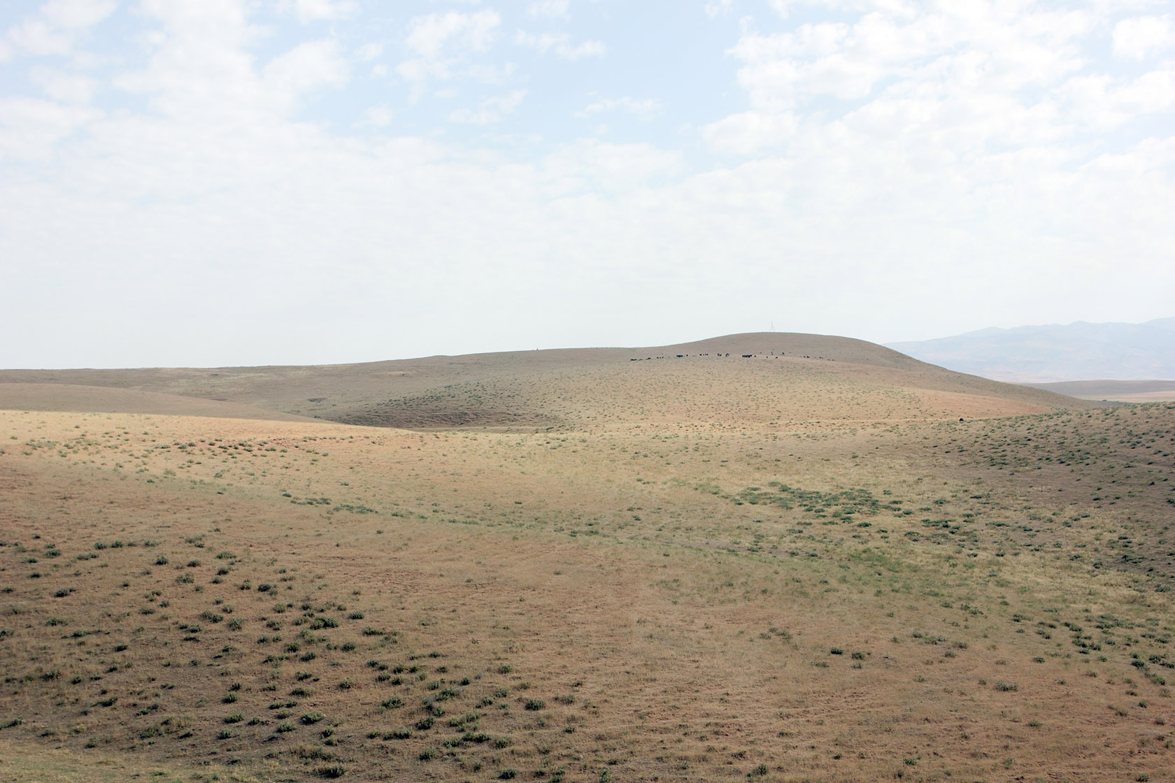 Окрестности посёлка Майский, image of landscape/habitat.