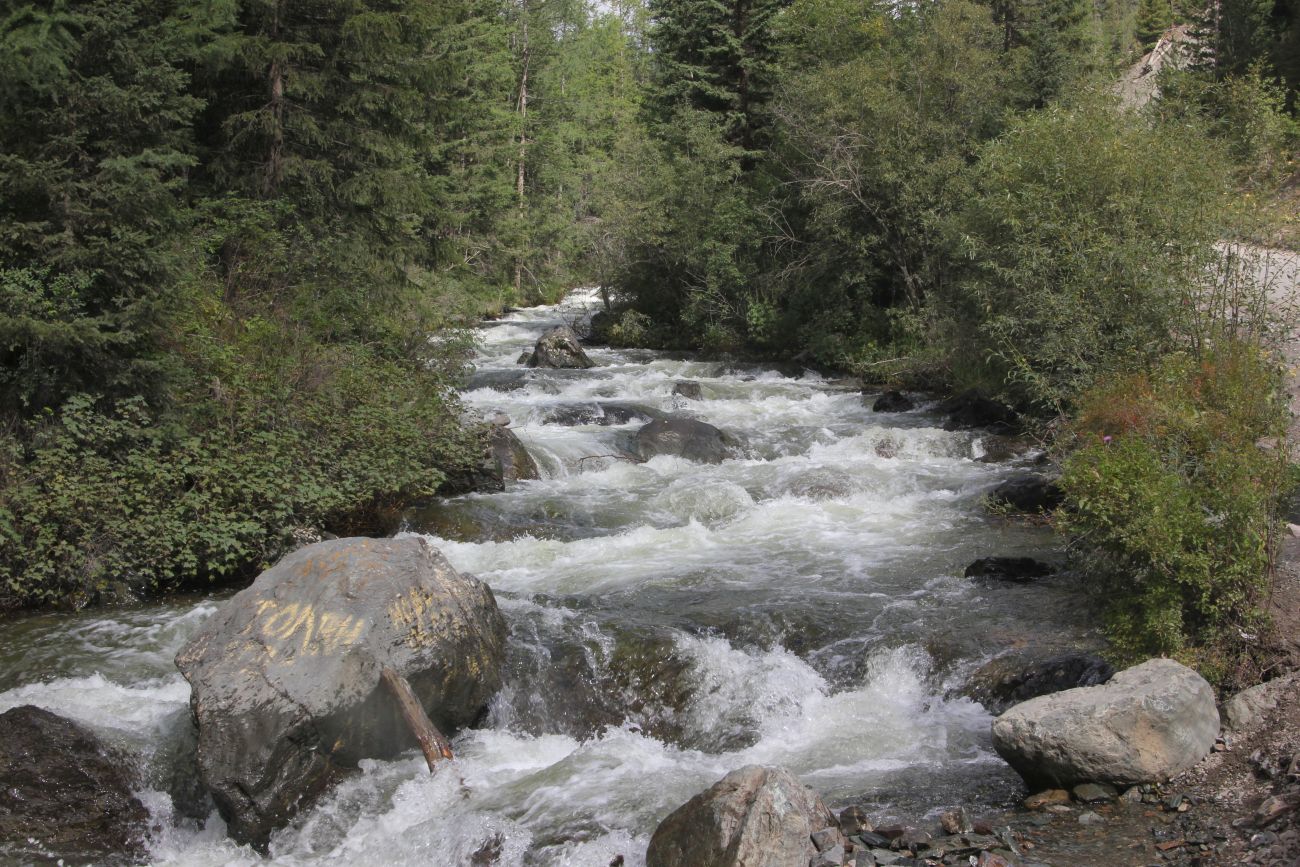 Красные Ворота, image of landscape/habitat.