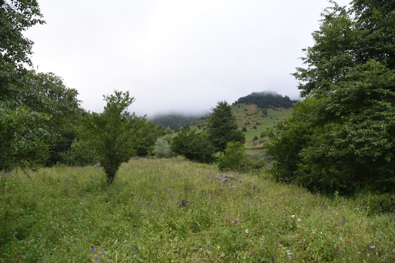 Нижний Кяхк и окрестности, image of landscape/habitat.