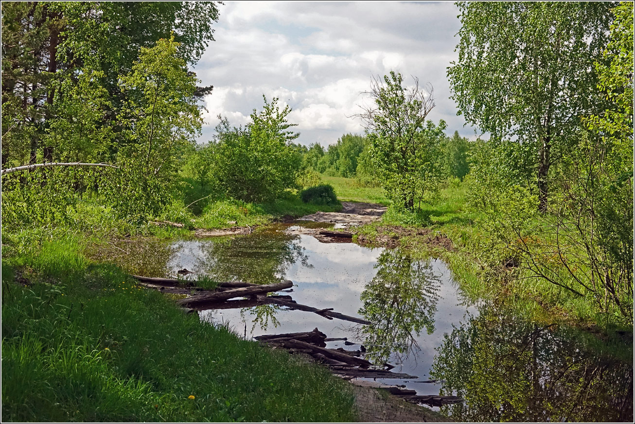 Окрестности Хрипани, image of landscape/habitat.