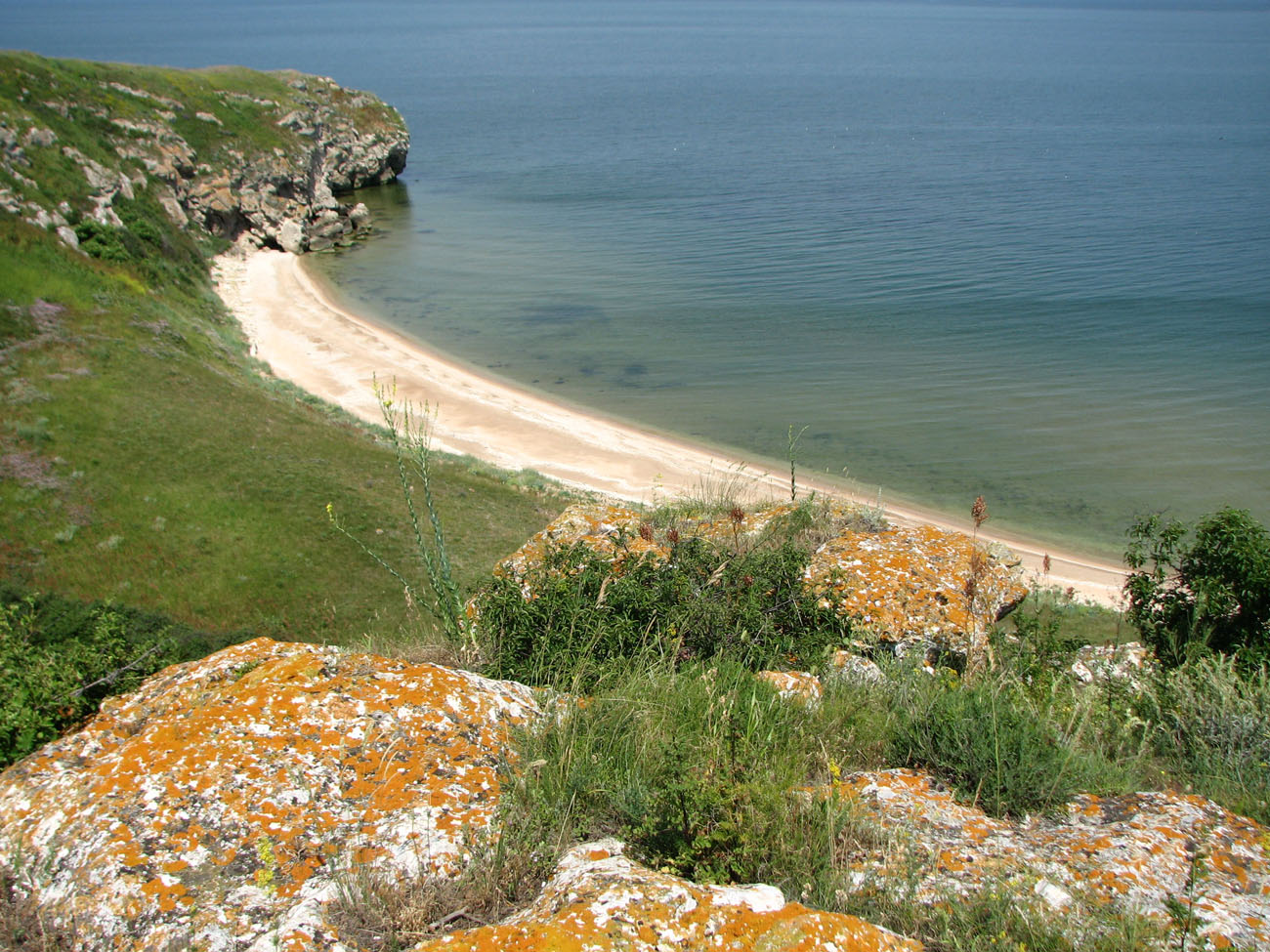 Караларская степь, image of landscape/habitat.