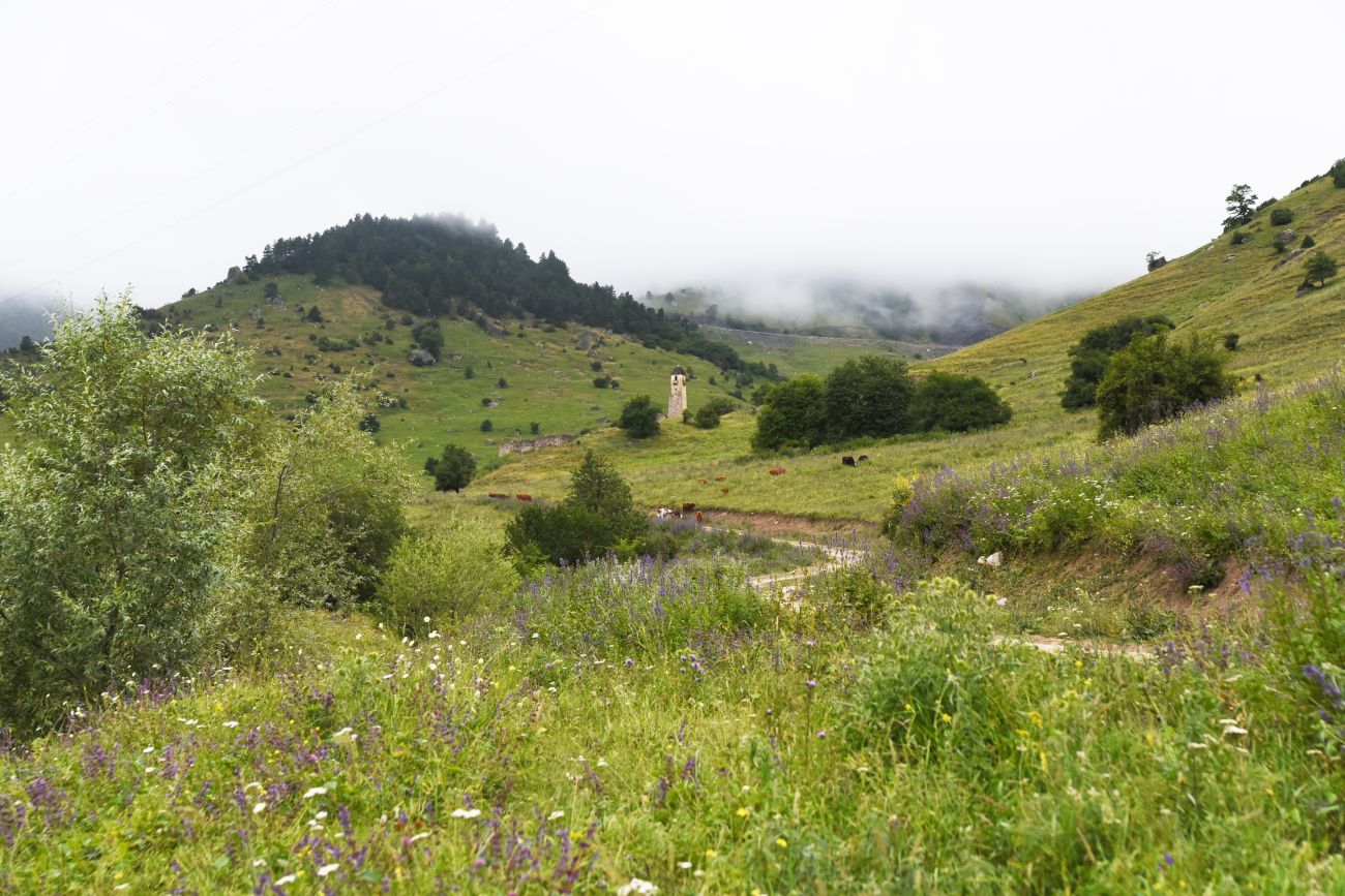 Кхарт, image of landscape/habitat.