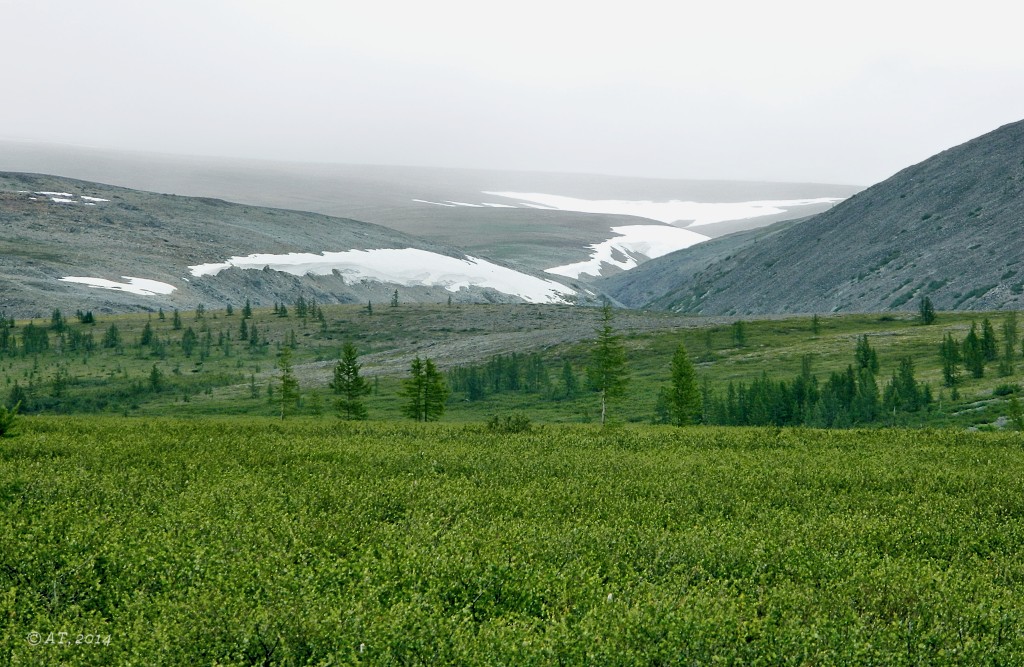 Лагортаю, image of landscape/habitat.