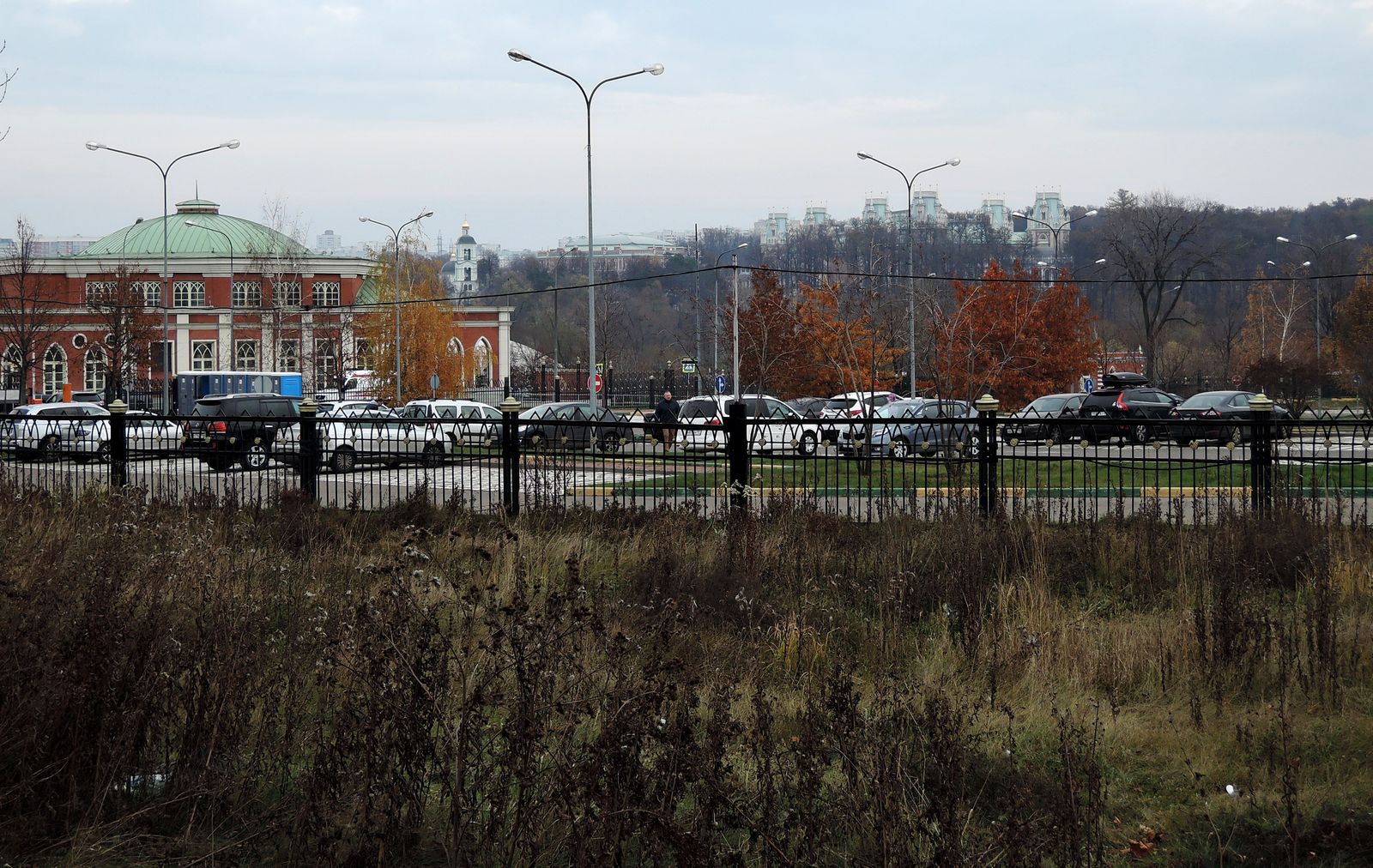 Царицыно, image of landscape/habitat.