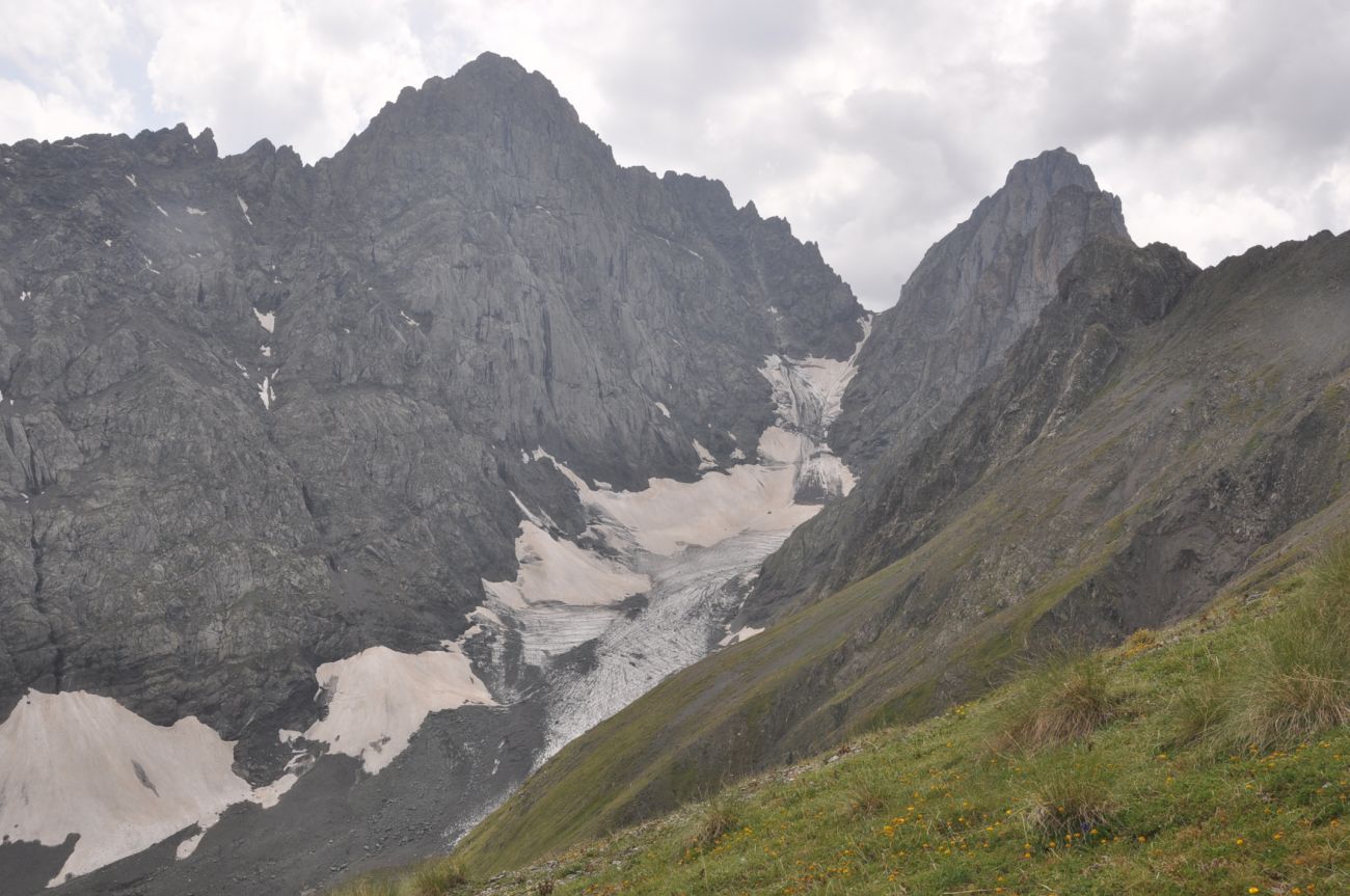 Окрестности перевала Чаухи, image of landscape/habitat.