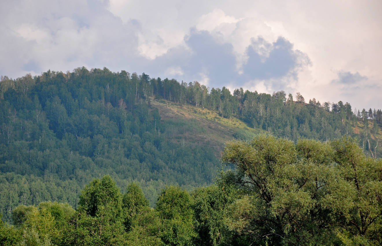 Окрестности посёлка Сактаево, image of landscape/habitat.