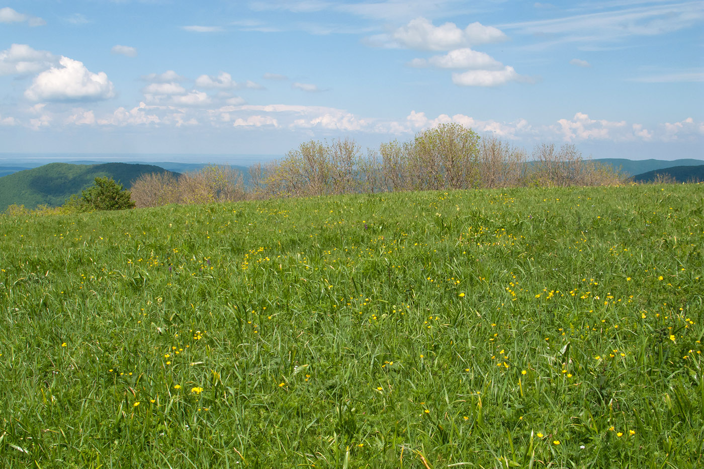 Гора Солдатская, image of landscape/habitat.