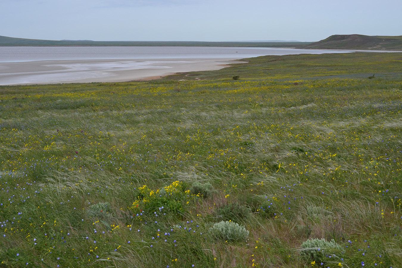 Опук, image of landscape/habitat.