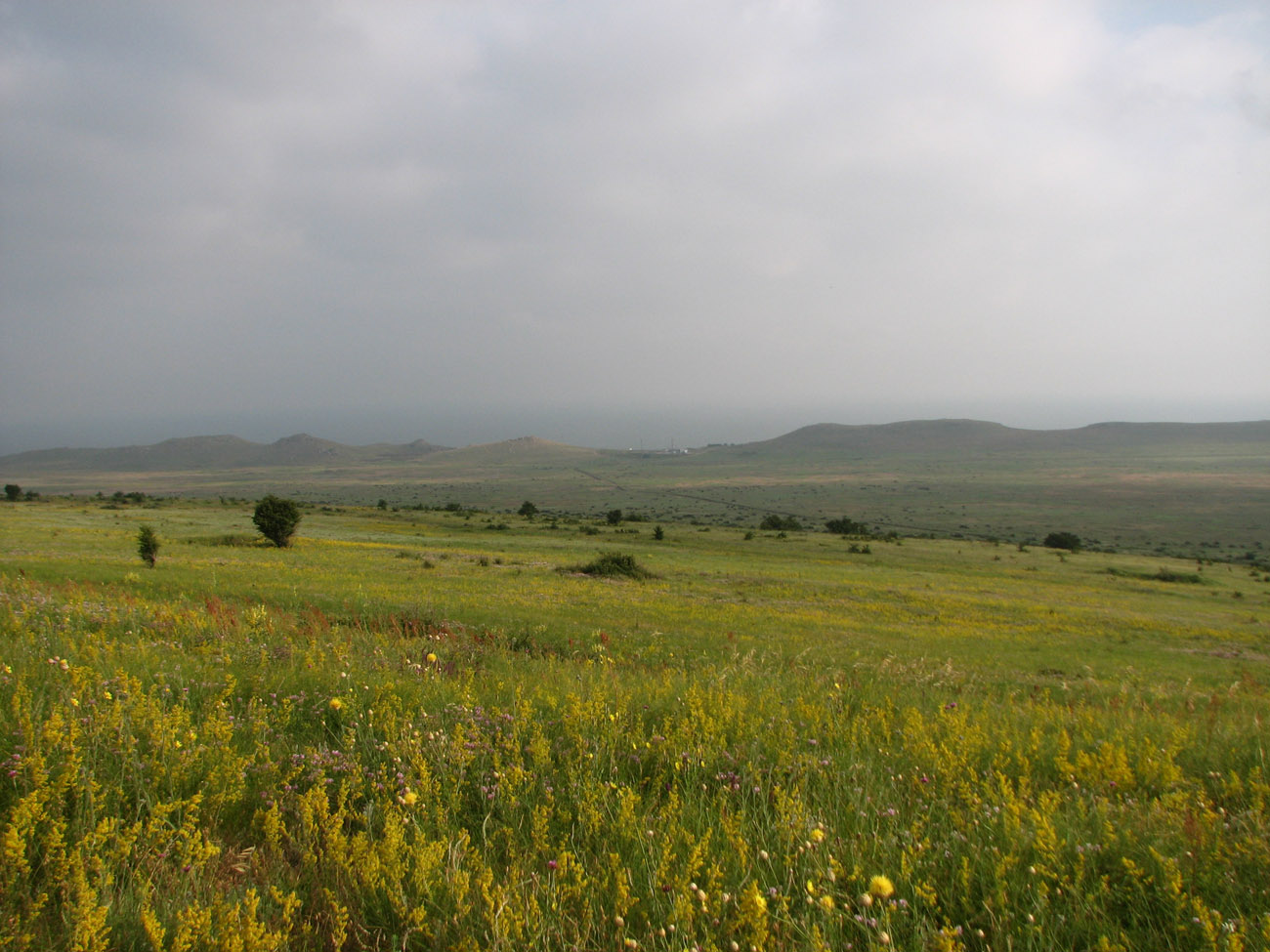 Караларская степь, image of landscape/habitat.